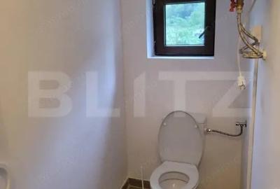 Casă cu 5 camere cu Teren 48000 Mp în Glodghilești - 7