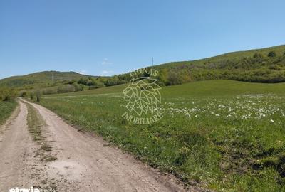 Teren de 5400 mp, în Central