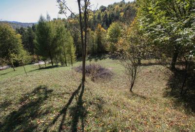 Teren agricol intravilan de 2109 mp, în Podul lui Neag - 4