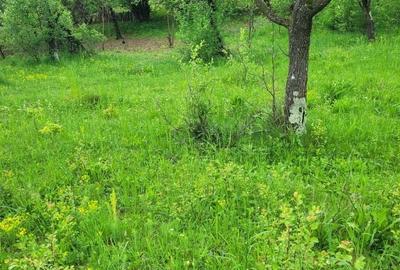 Teren de 3530 mp, în Vârfuri - 6