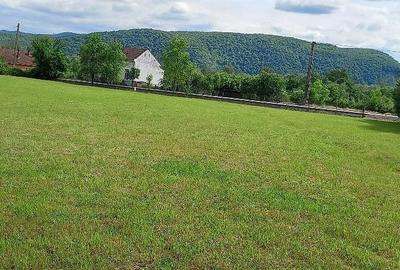 Casă cu Teren 6400 Mp în Ilteu