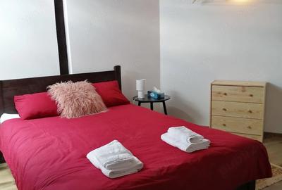 Casă cu 6 camere cu Teren 420 Mp în Paltin - 5