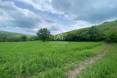 Teren Construcții intravilan de 15900 mp, în Fințești - 10