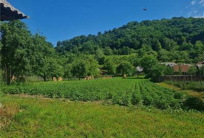 Casă în Săliște - 3