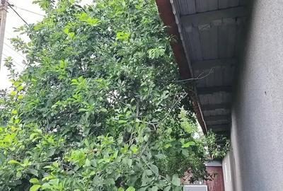 Casă cu 4 camere cu Teren 1280 Mp în Sinești - 6