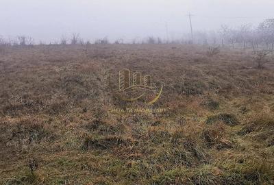 Teren de 2900 mp, în Baciu