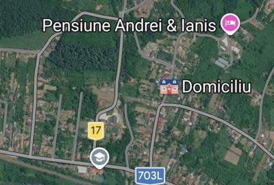 Spațiu comercial, în Frâncești