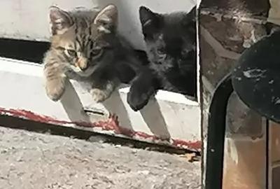 Garsonieră decomandată în Drumul Taberei - 10