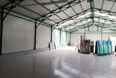 Spațiu industrial, în Depozitelor - 1