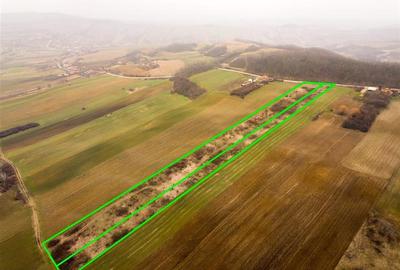 Teren Construcții intravilan de 13041 mp, în Burzuc - 2