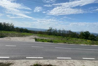 Teren de 7000 mp, în Drăgoești - 2