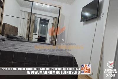 Apartament cu 2 camere semidecomandat, mobilat în Banat - 9