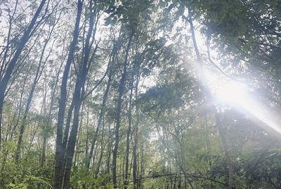 Teren de 5000 mp, în Valea Părului