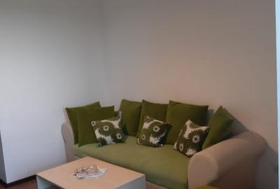 Apartament cu 2 camere semidecomandat în Tineretului - 2