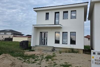 Casă cu 3 camere cu Teren 260 Mp în Bercu Roșu - 9