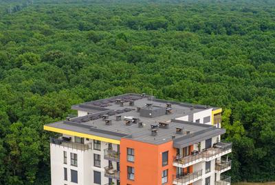 Apartament cu 3 camere decomandat în Lipovei - 15