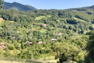 Teren de 70290 mp, în Poiana Ampoiului - 7