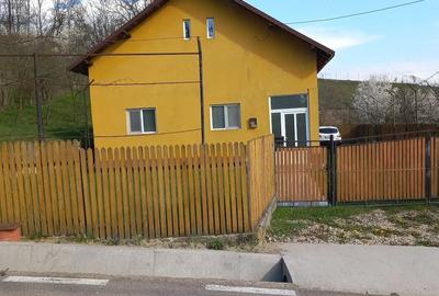 Casă cu 3 camere cu Teren 2596 Mp în Central - 3