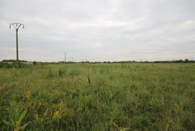 Teren agricol extravilan de 9400 mp, în Mehala - 5