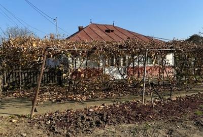 Casă individuală cu 4 camere cu Teren 807 Mp în Șerbănești - 12