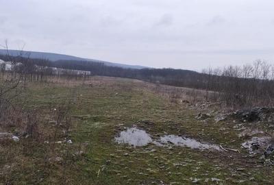 Teren Construcții intravilan de 7500 mp, în Est