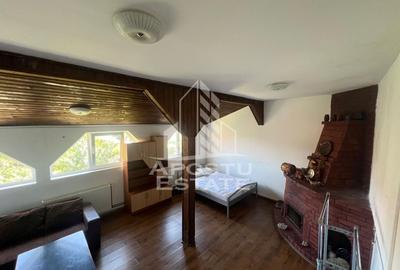 Apartament cu 2 camere semidecomandat în Mehala - 5