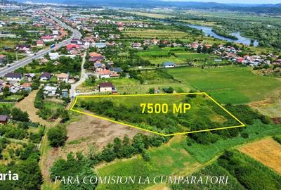 Teren de 7500 mp, în Râureni