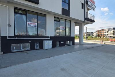 Spațiu comercial, de 113 mp, în Central - 16