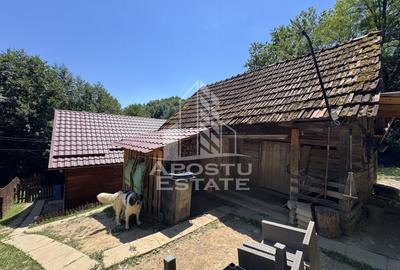 Casă individuală cu 5 camere cu Canalizare în Dumbrava de Jos - 31