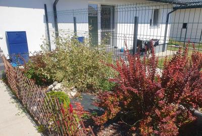 Casă cu 4 camere în Argeșelu
