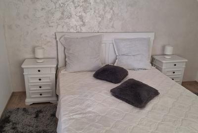 Casă cu 6 camere cu Teren 7200 Mp în Mihai Eminescu - 6