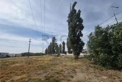 Teren de 5043 mp, în Borș - 2