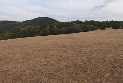 Teren de 35400 mp, în Balta