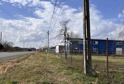 Teren Construcții intravilan de 2450 mp, în Catanele - 3