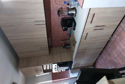 Apartament cu 2 camere semidecomandat în Brezoi - 3