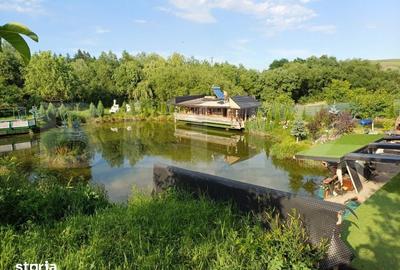 Teren de 6000 mp, în Ilișești - 19