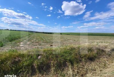 Teren de 3600 mp, în Curtești - 1