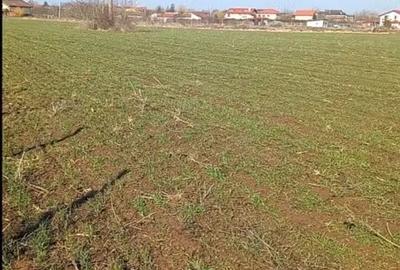 Teren în Ghermănești