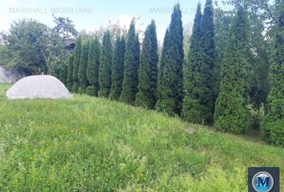 Casă cu 4 camere cu Teren 1500 Mp în Teișani - 2