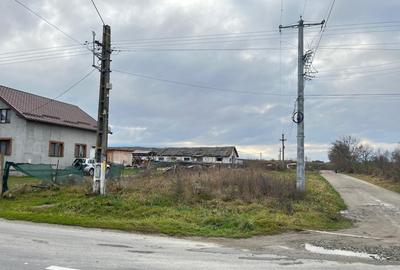 Teren Construcții intravilan de 4389 mp, în Sâmbăta de Sus - 4