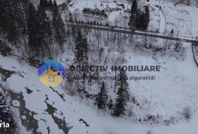 Teren de 2283 mp, în Tarcău - 3