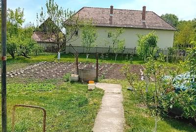 Casă cu 2 camere cu Teren 800 Mp în Cornești (Crăciunești) - 4