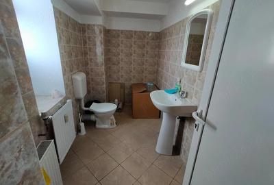 Spațiu comercial, de 950 mp, în Badea Cârțan - 3