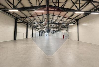 Spațiu industrial, de 1,188 mp, în 13 Decembrie - 4