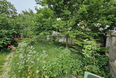 Casă cu 3 camere cu Canalizare în Parcul Carol - 11