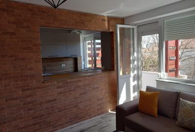 Apartament cu 2 camere semidecomandat în Podgoria