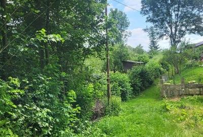 Teren Construcții intravilan de 3470 mp, în Valea Târsei - 8
