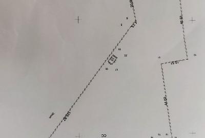 Teren Construcții intravilan de 6500 mp, în Albești - 2