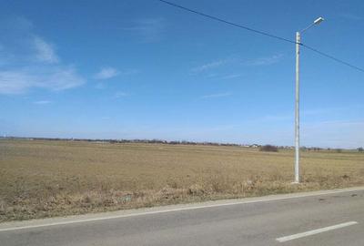 Teren de 5259 mp, în Dărăști-Ilfov - 2