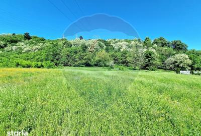 Teren de 8500 mp, în Cașin